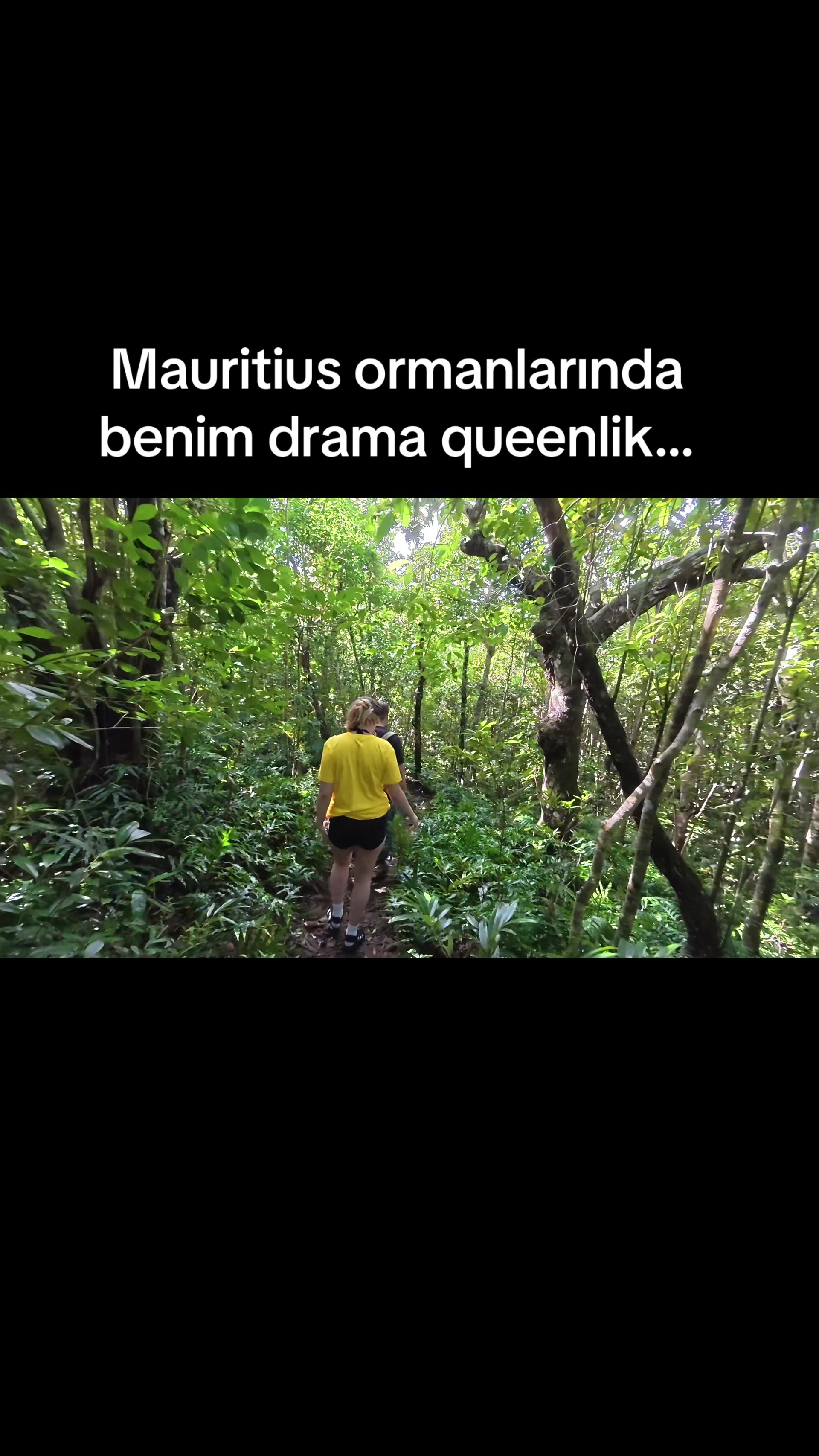 @Ayşe Çuhadar