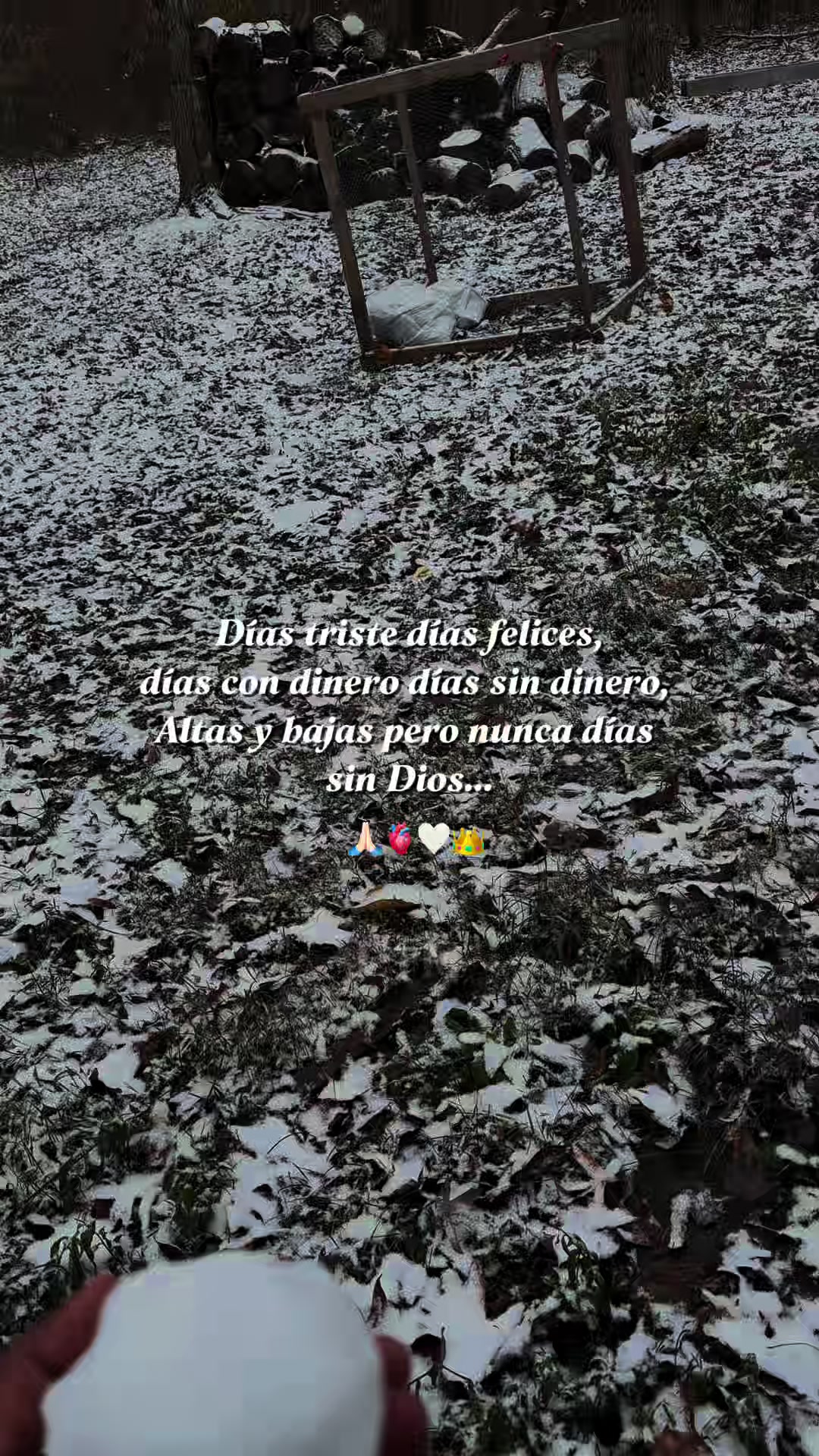 @ᴍɢメR£BËLĐ€:)