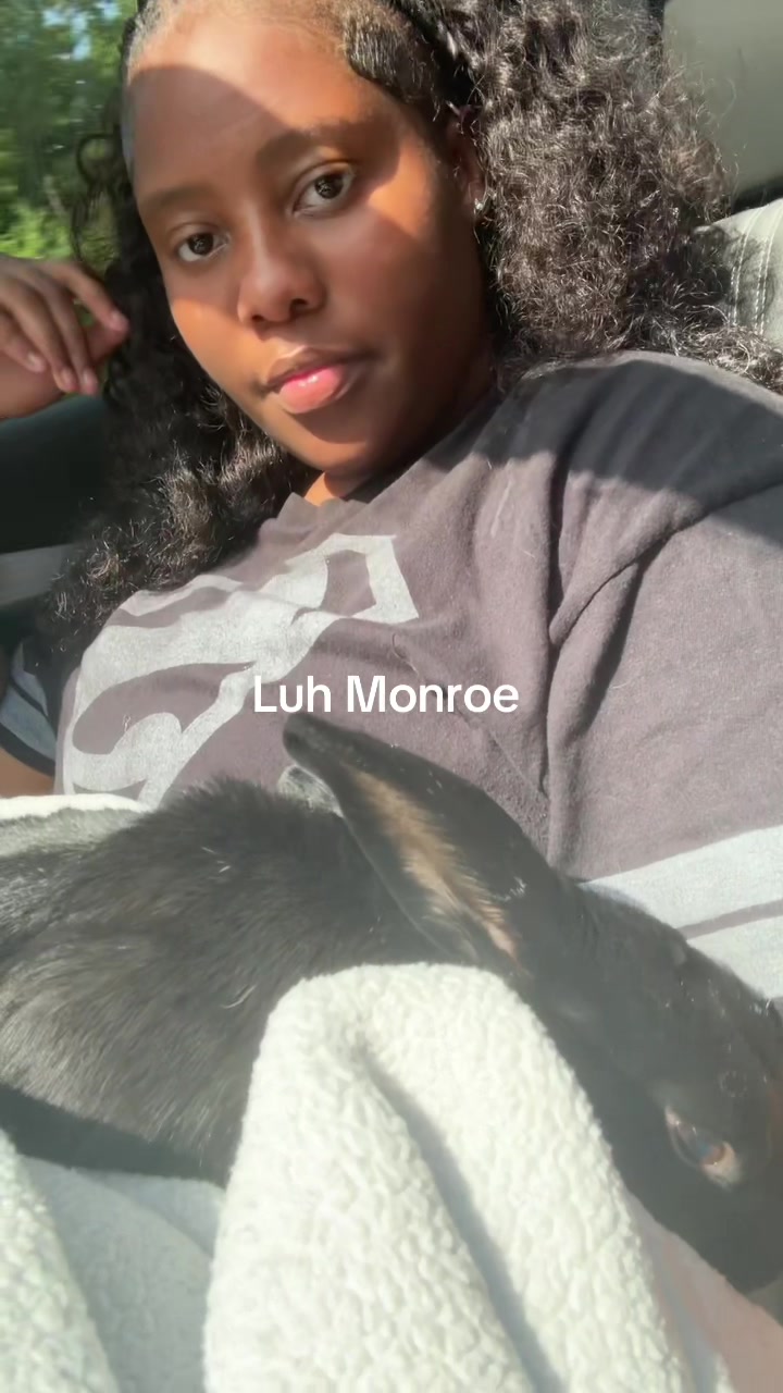 @thetitianadiaries