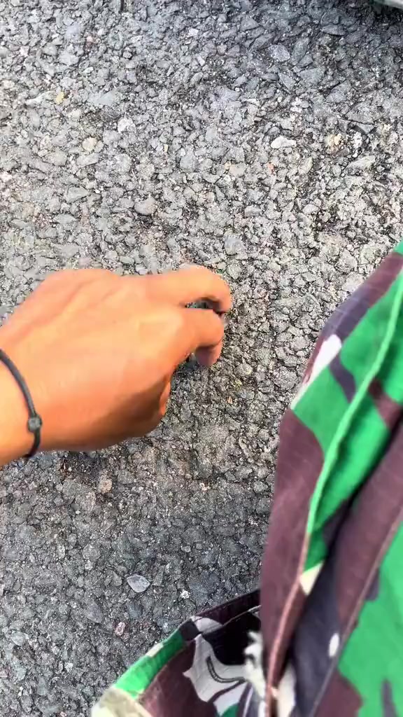 @kentangrebus