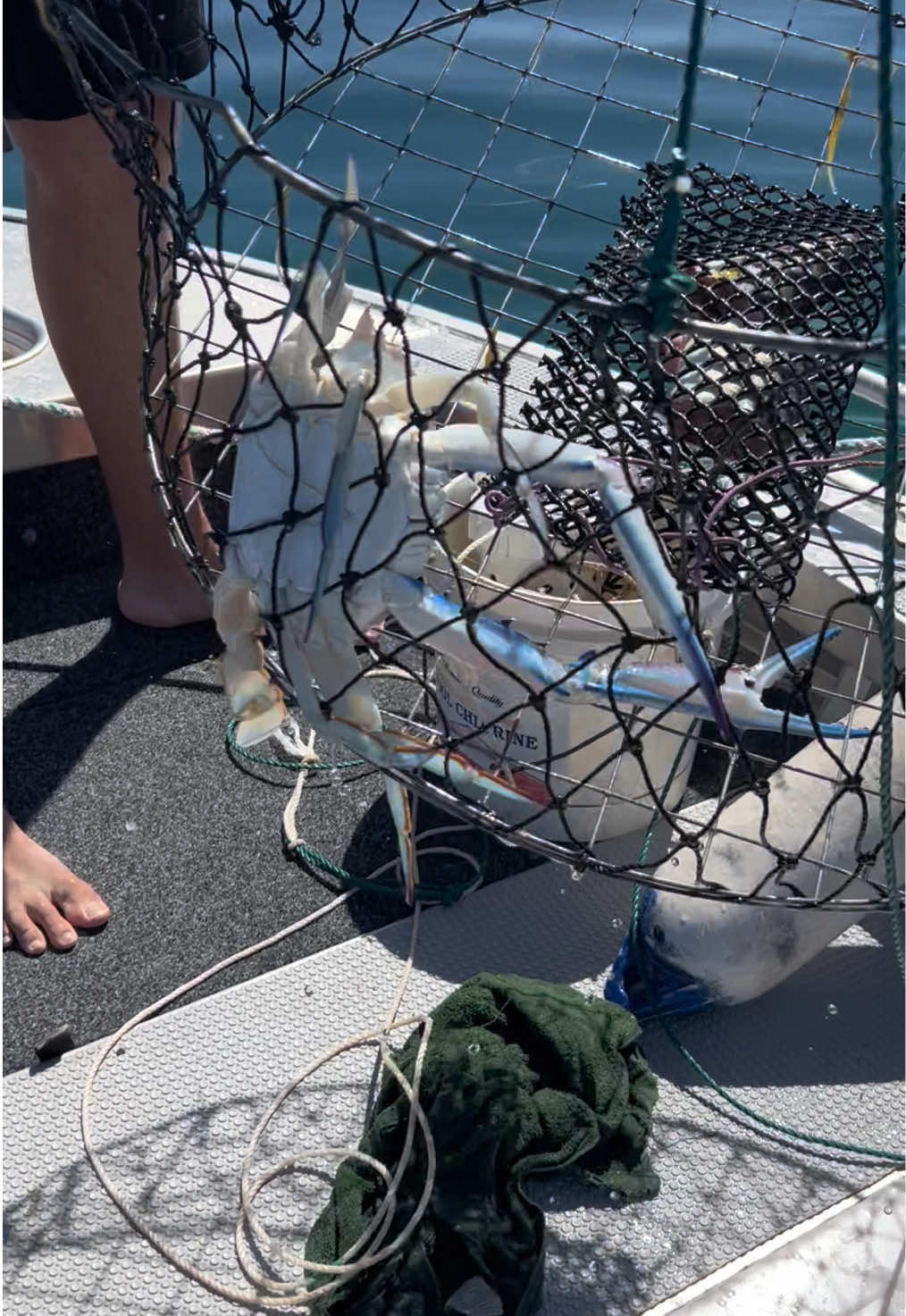 @NON-STOP FISHING