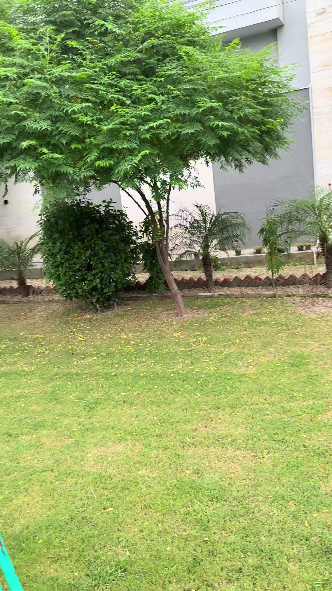 @Mian Zunair Farooq