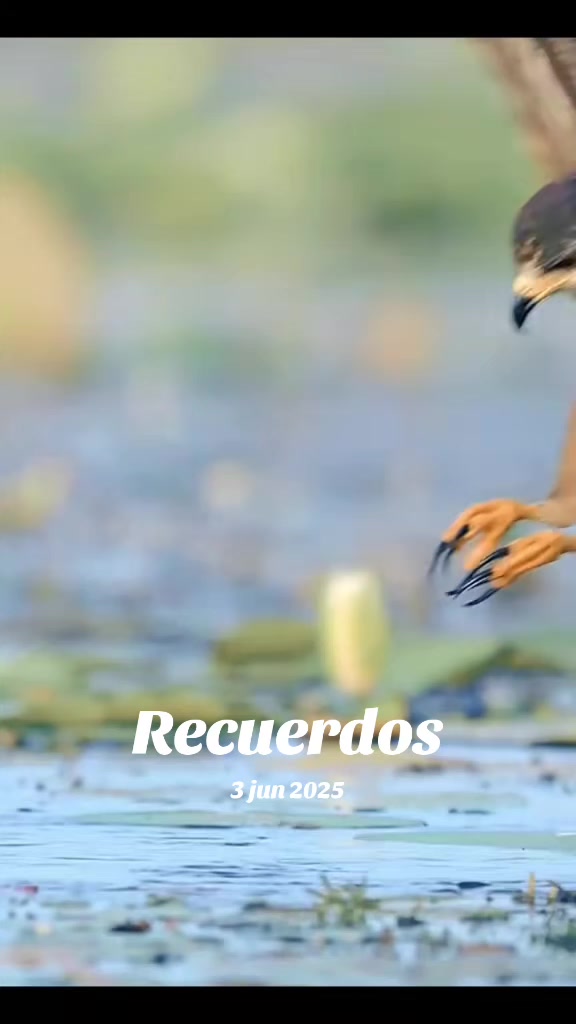 @Edangel Herrera