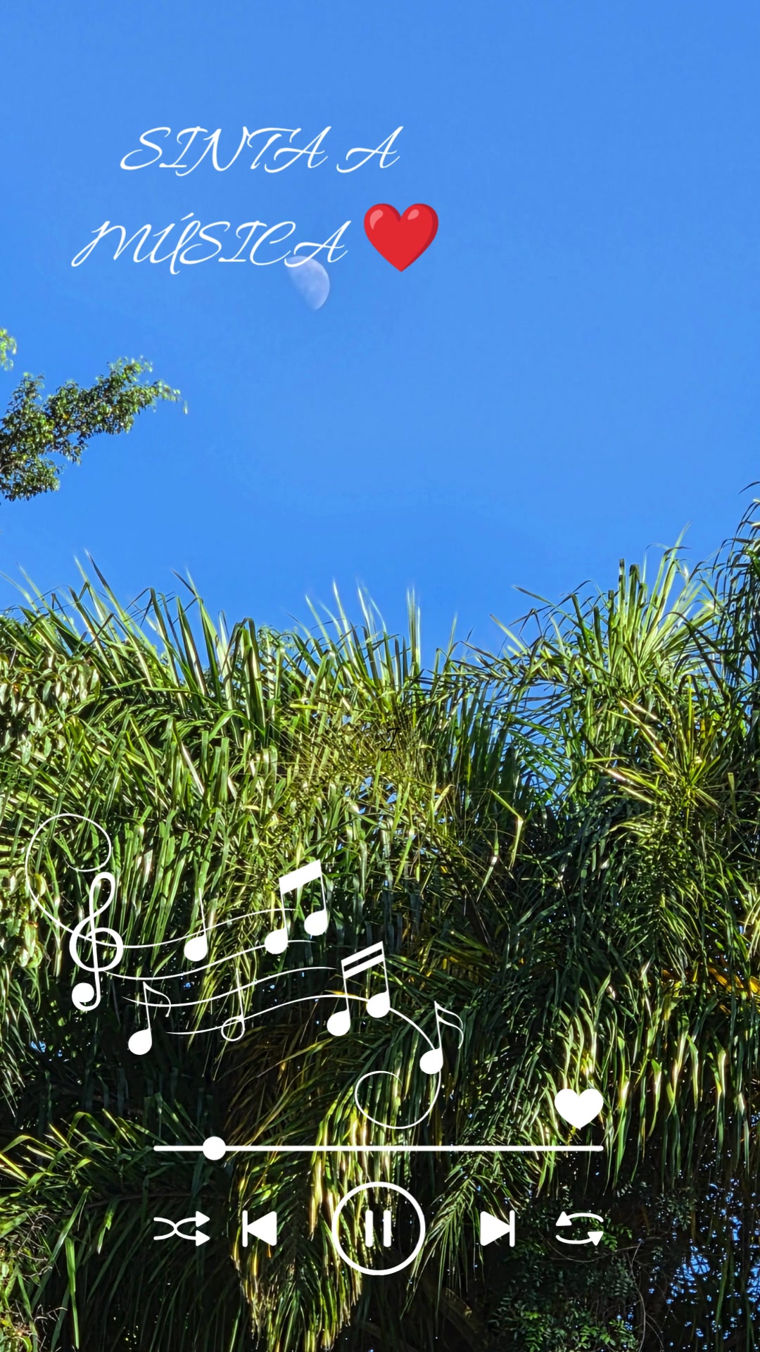 @Sinta a música 🎶