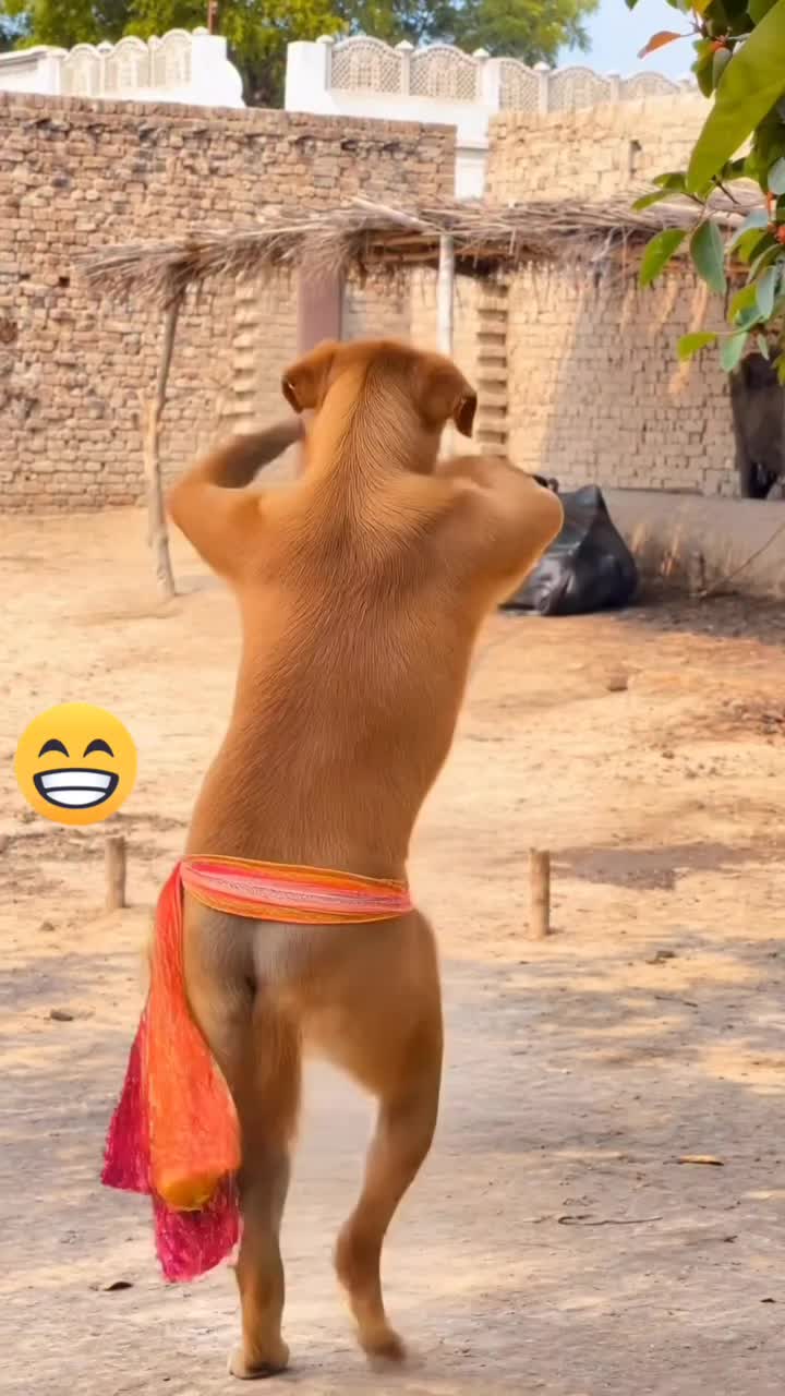 @DILSHAD 🇮🇳 DK KHAN🧡🤍💚