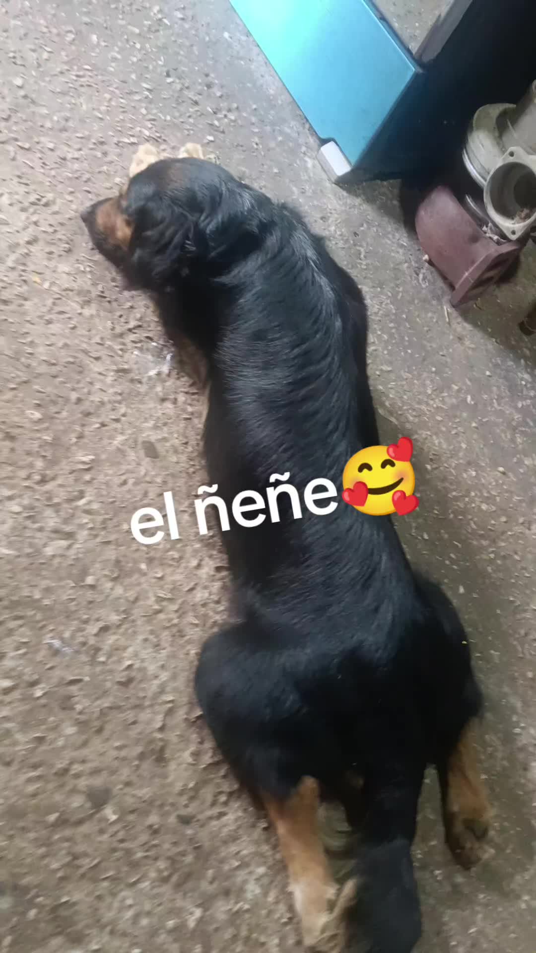 @Pity De la Rosa