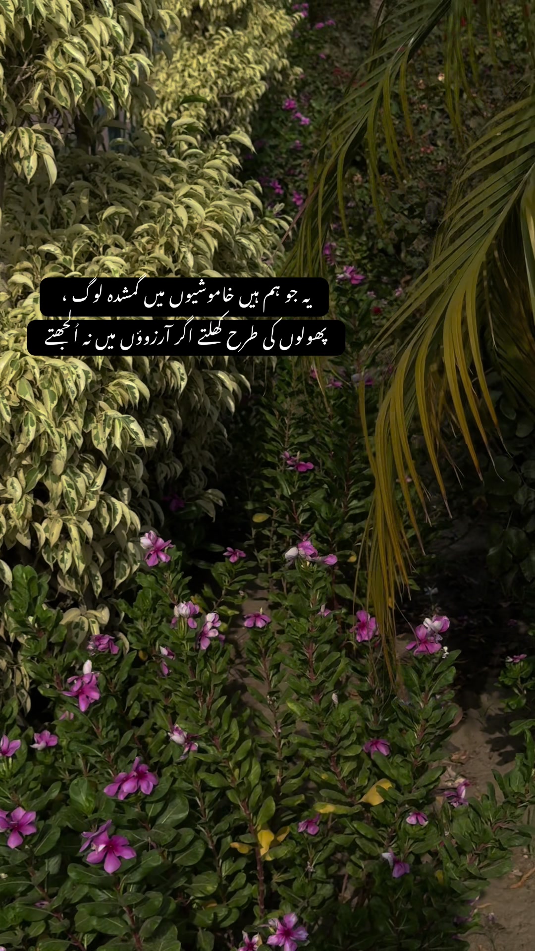 @🌸~