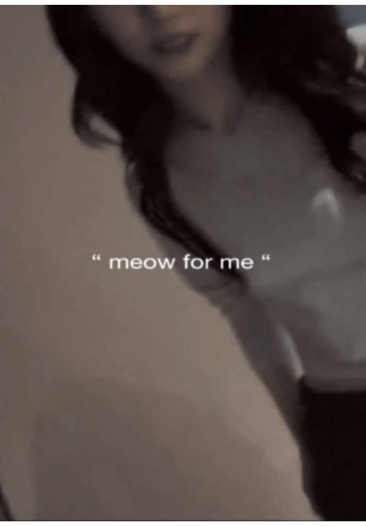 @₍^. .^₎Ⳋ