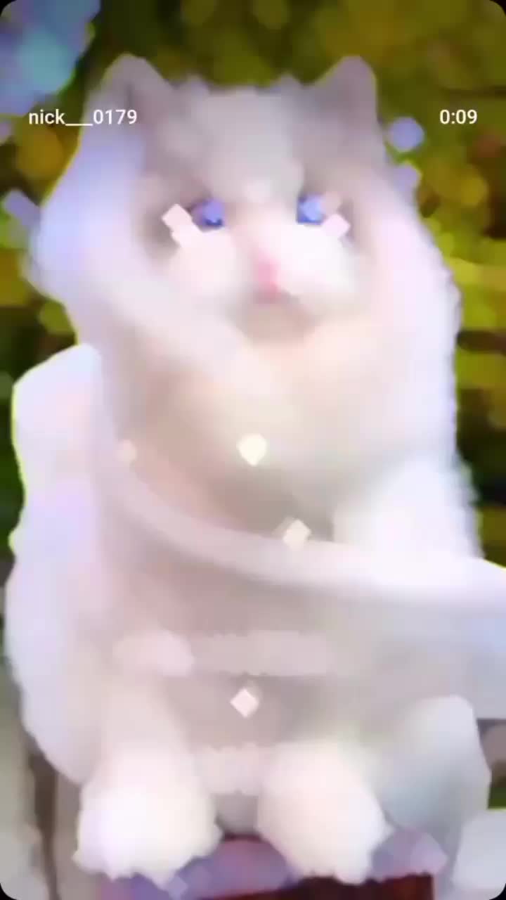 @𝑆𝑛𝑜𝑤~ ❤️✨