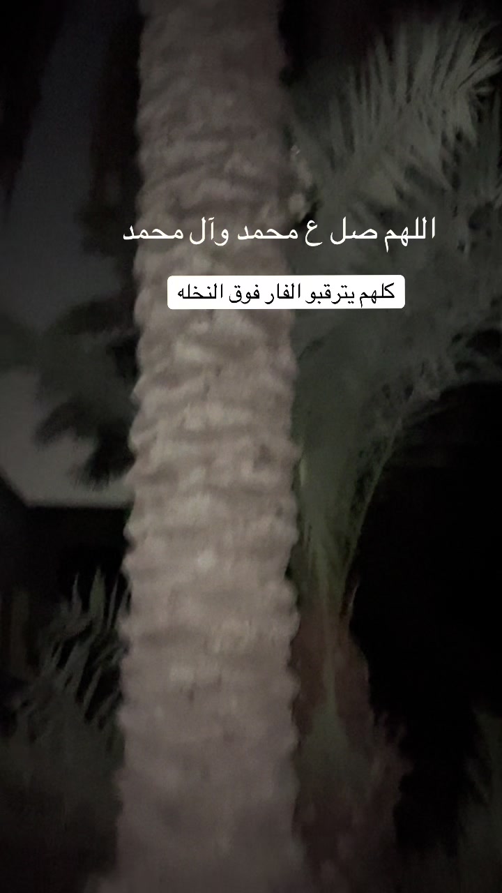 @ashkaltbiah