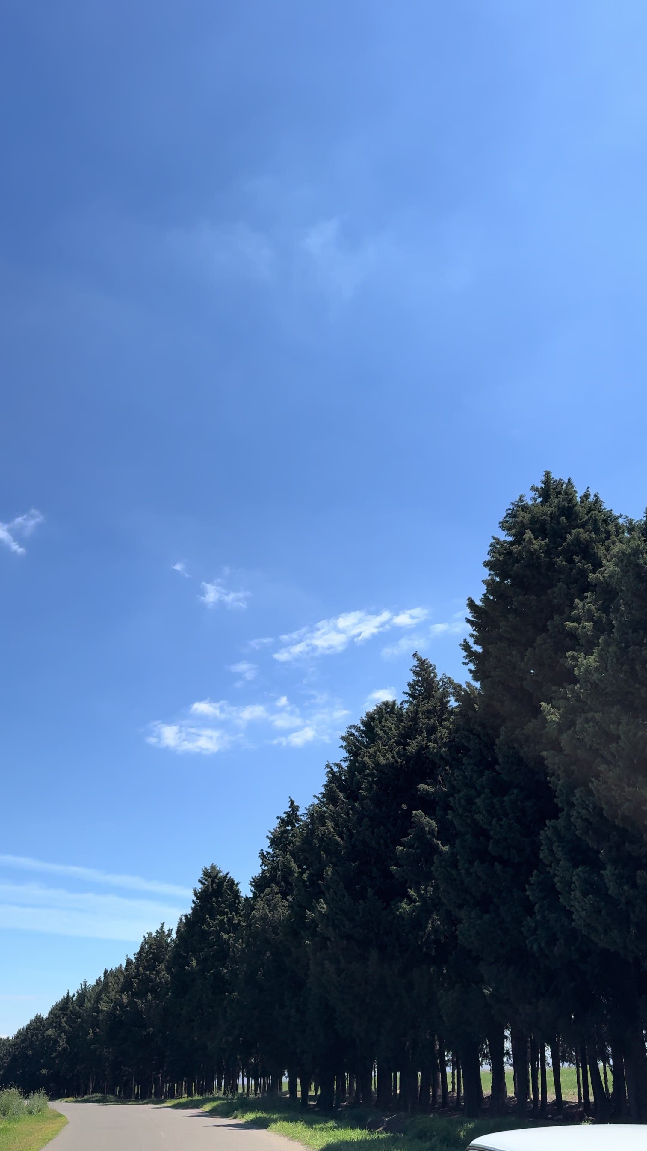 @924🇦🇿