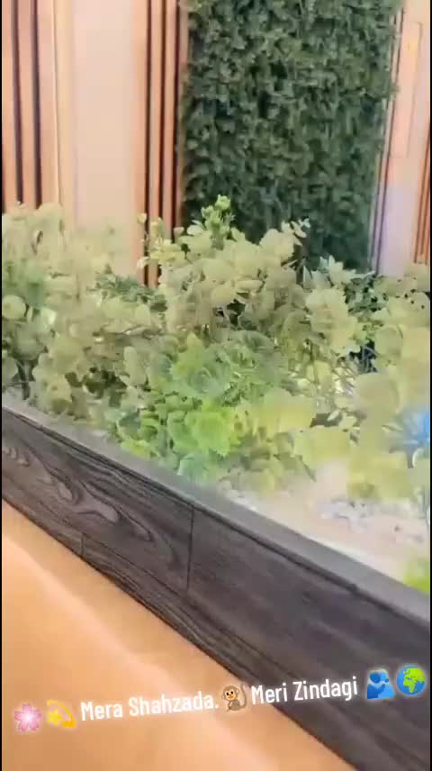 @Zaini Khokhar🥰