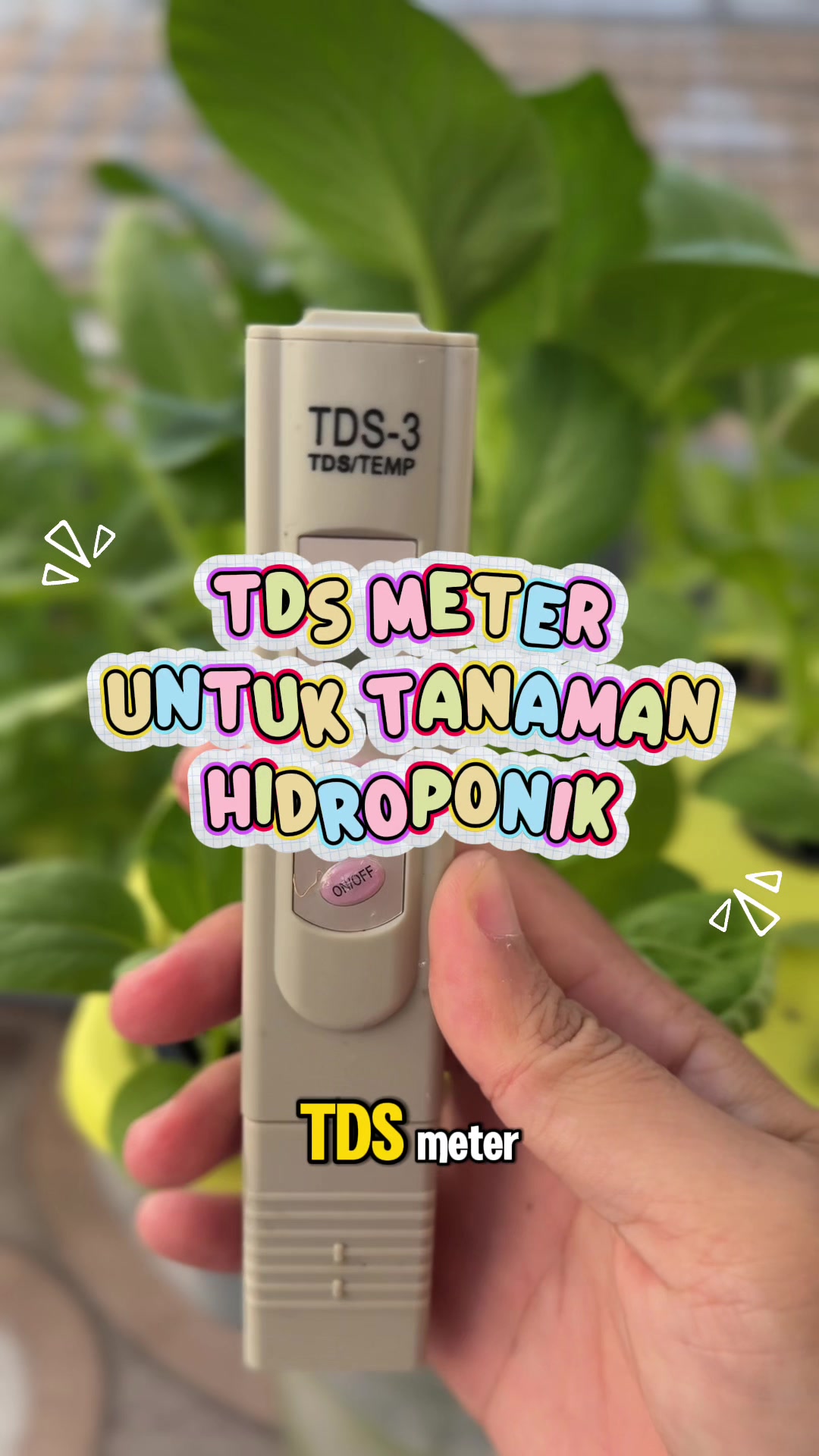 @Uswatunieq | Suka makan