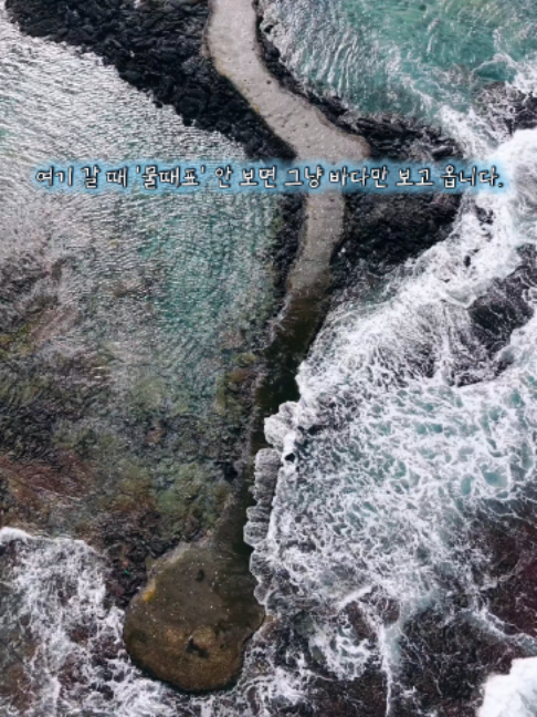 @제주도