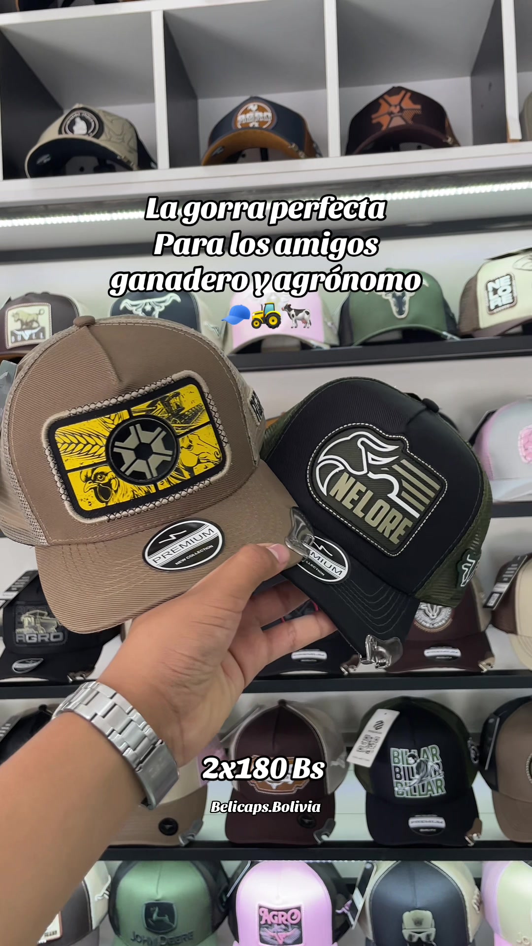 @BELICAPS🧿🧢