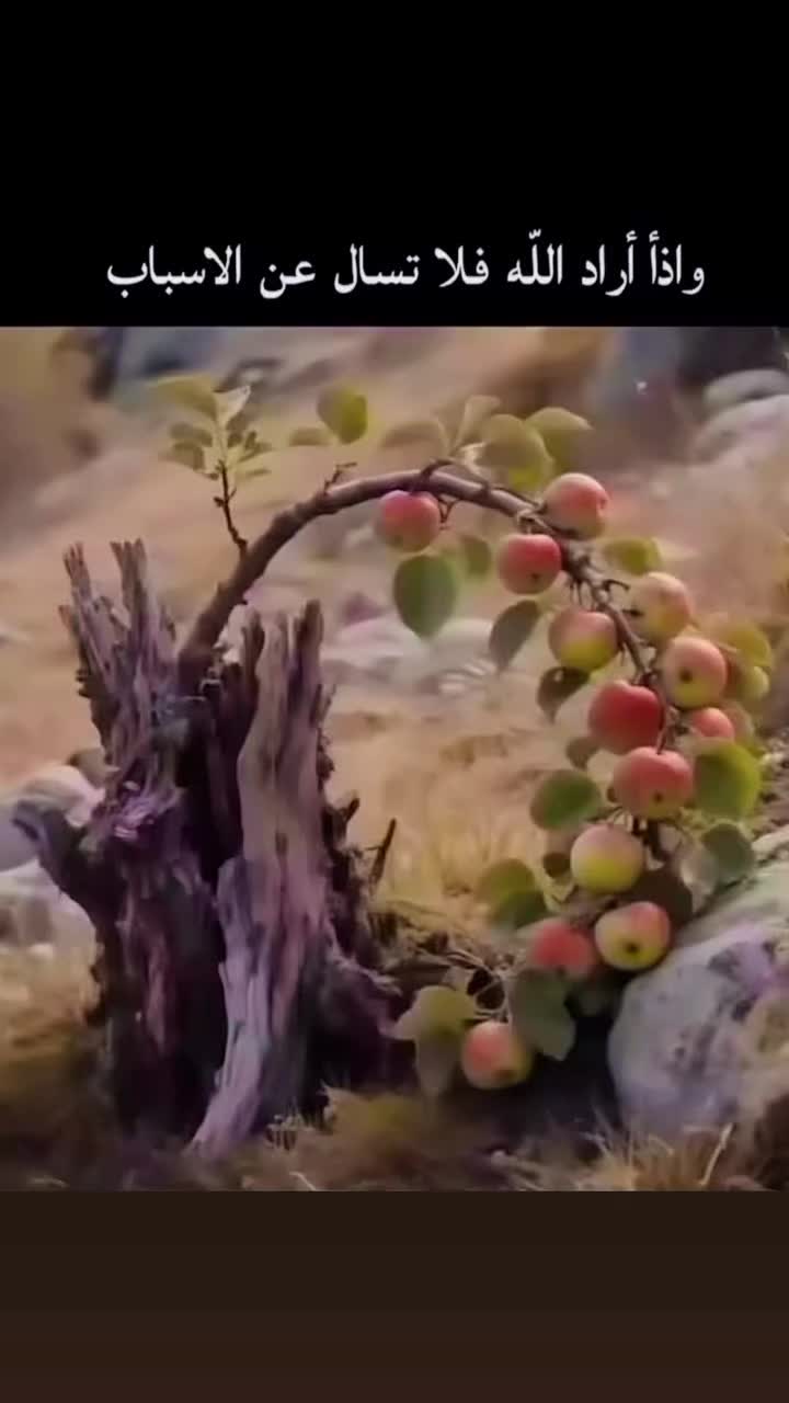 @زكريا سرخاد