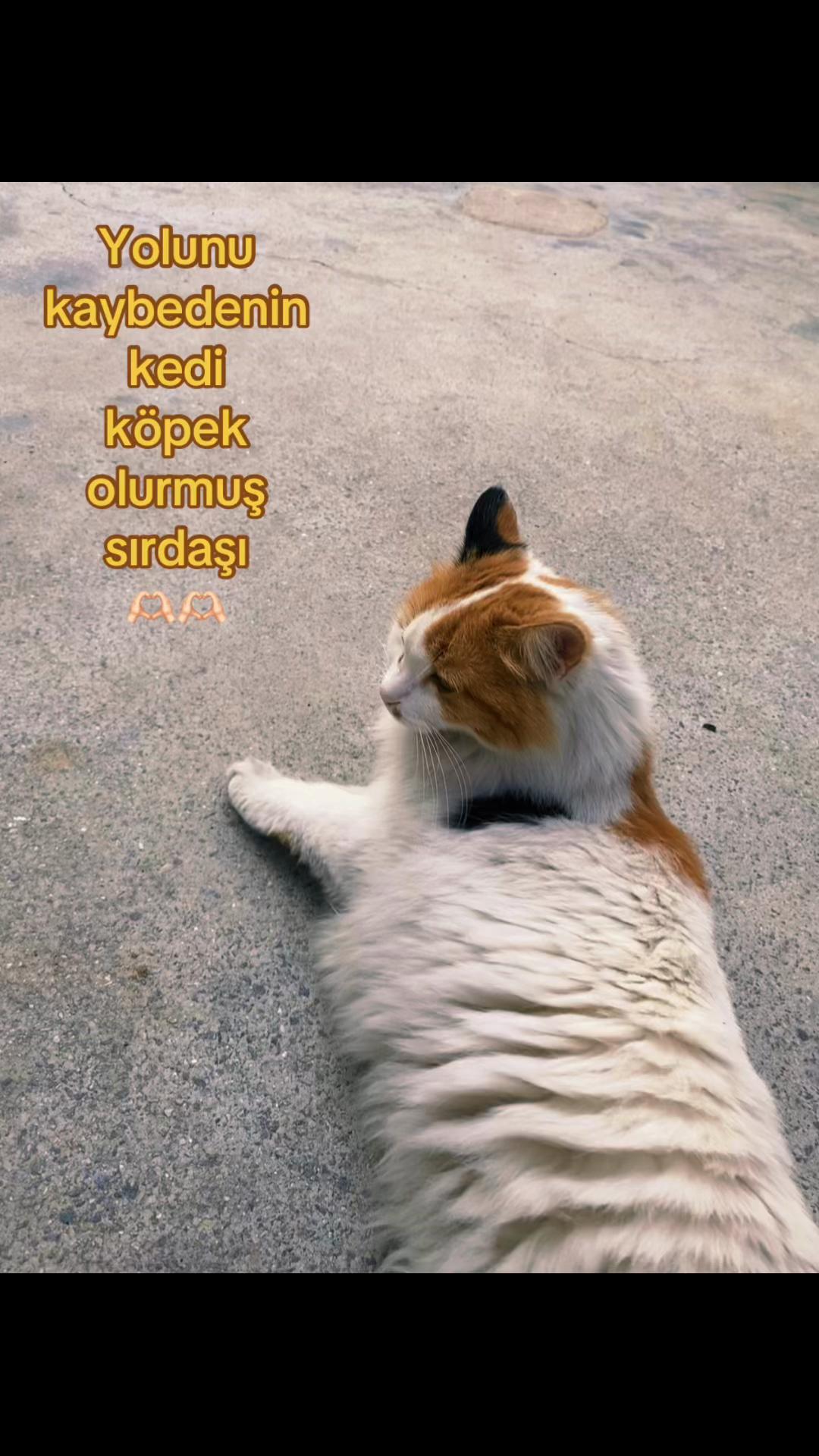 @userciikkk
