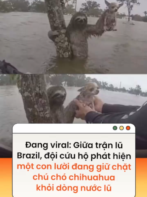 @Kenh14.vn