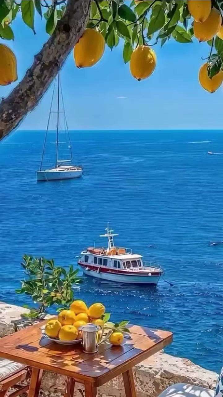 @mucizemuge