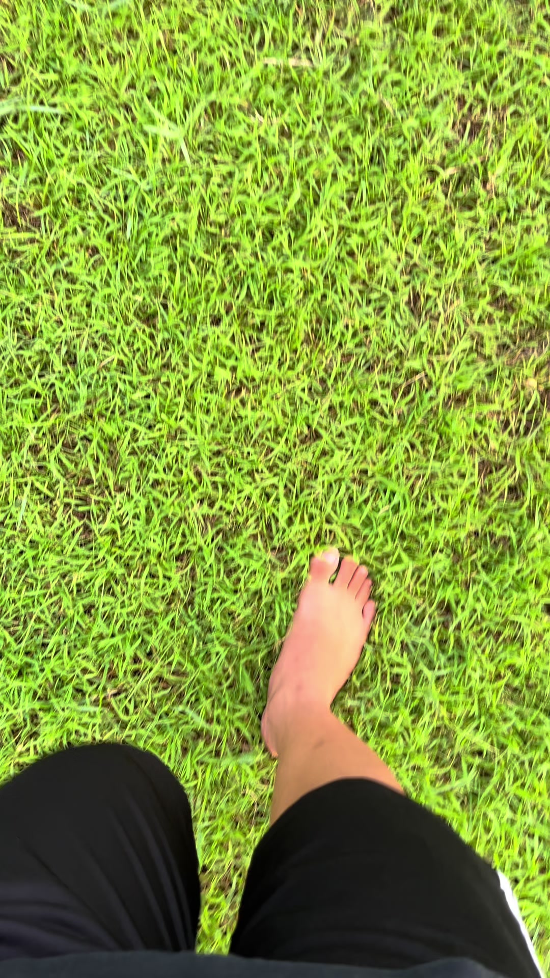 @zullkece79
