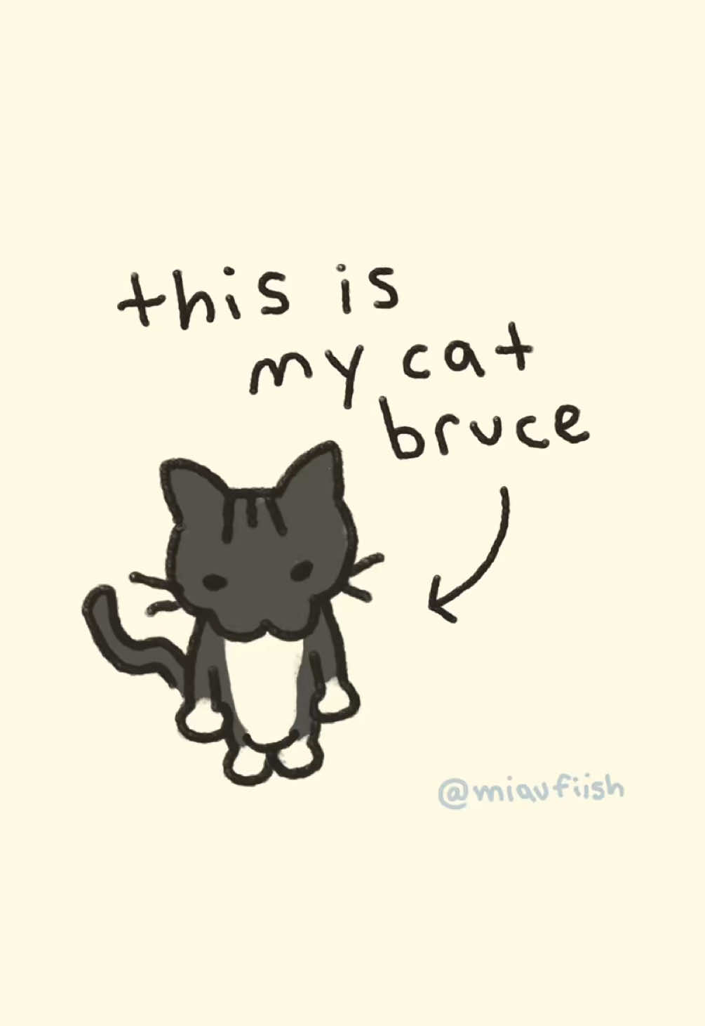 @cowboycatdad