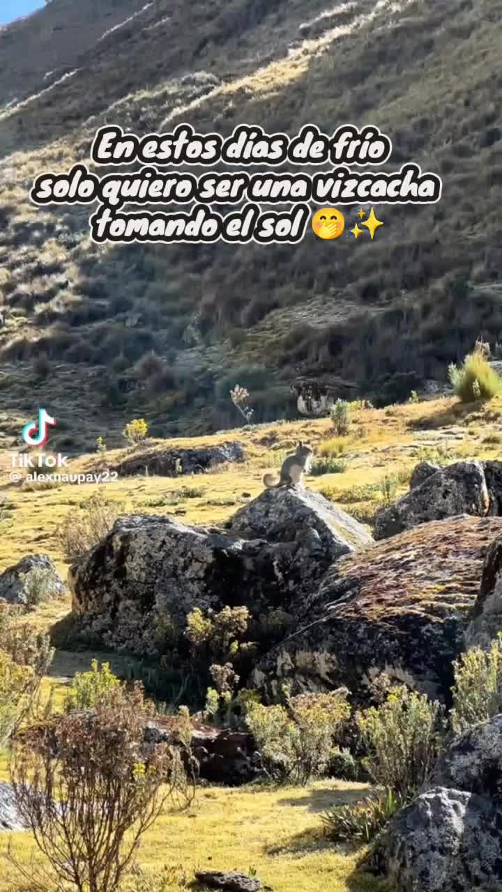 @mari