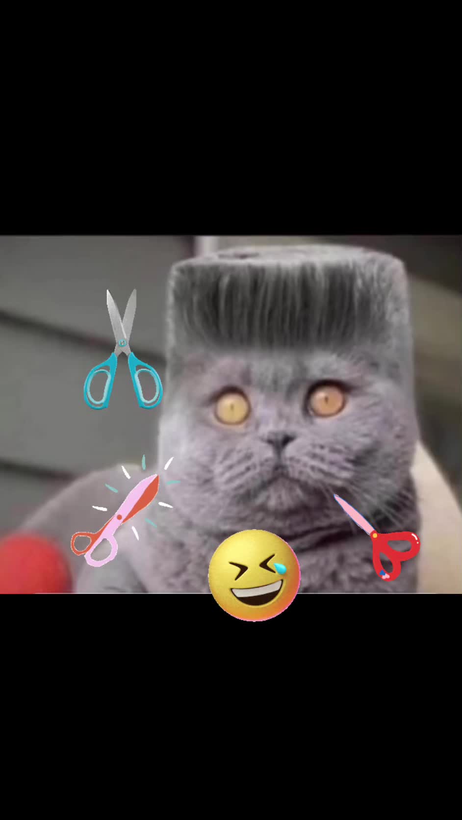 @ألأدميــــرال 𝐌𝐑-𝐗
