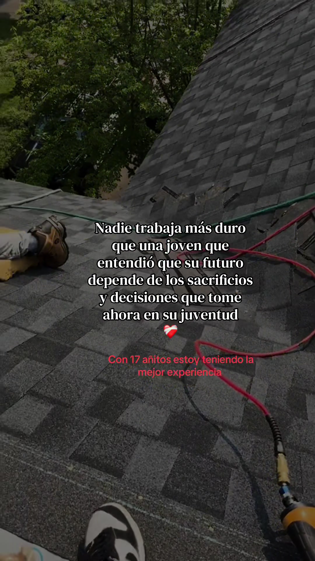 @Ale Xa 🕷️