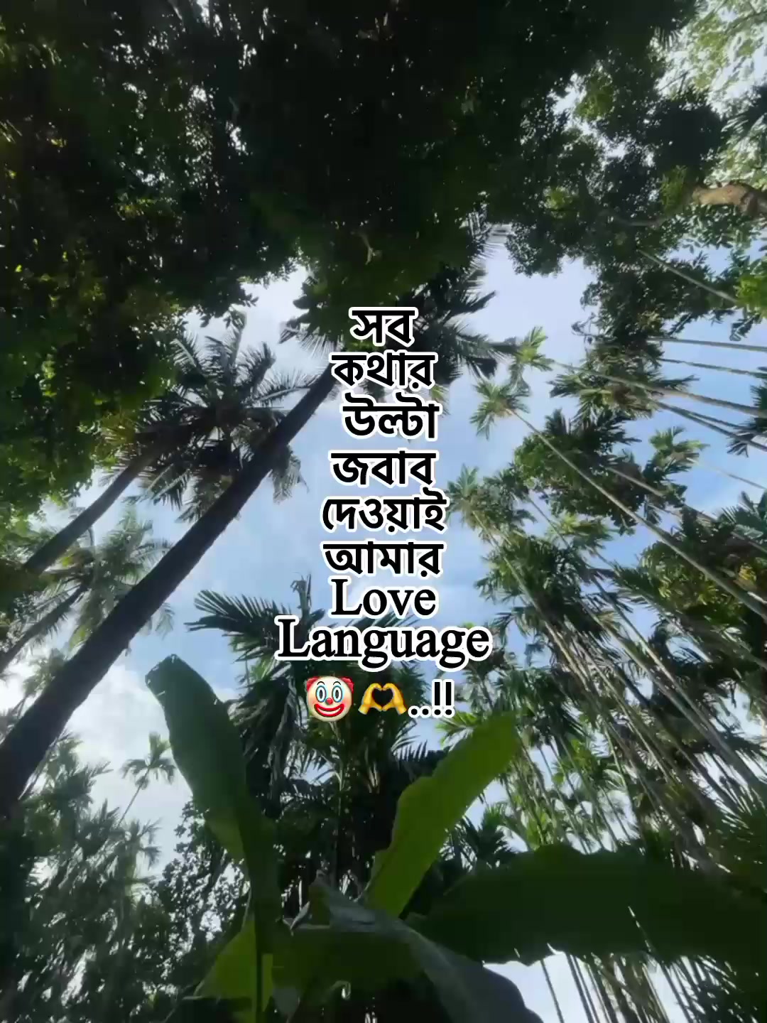@⁷𝐇𝐚𝐦𝐢𝐝𝐚◡🧃