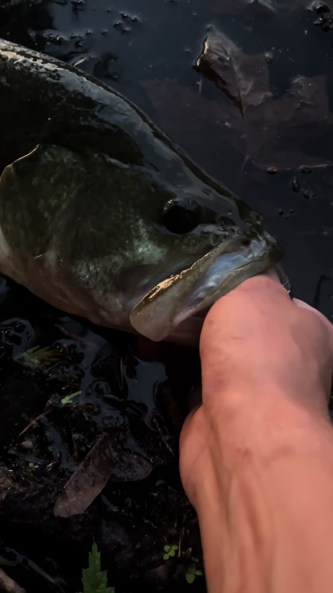 @FishingWithCam