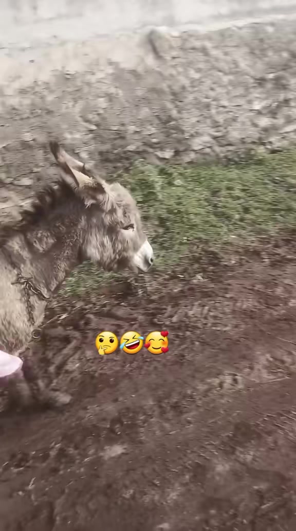 @Beni çekemeyenler ölsün