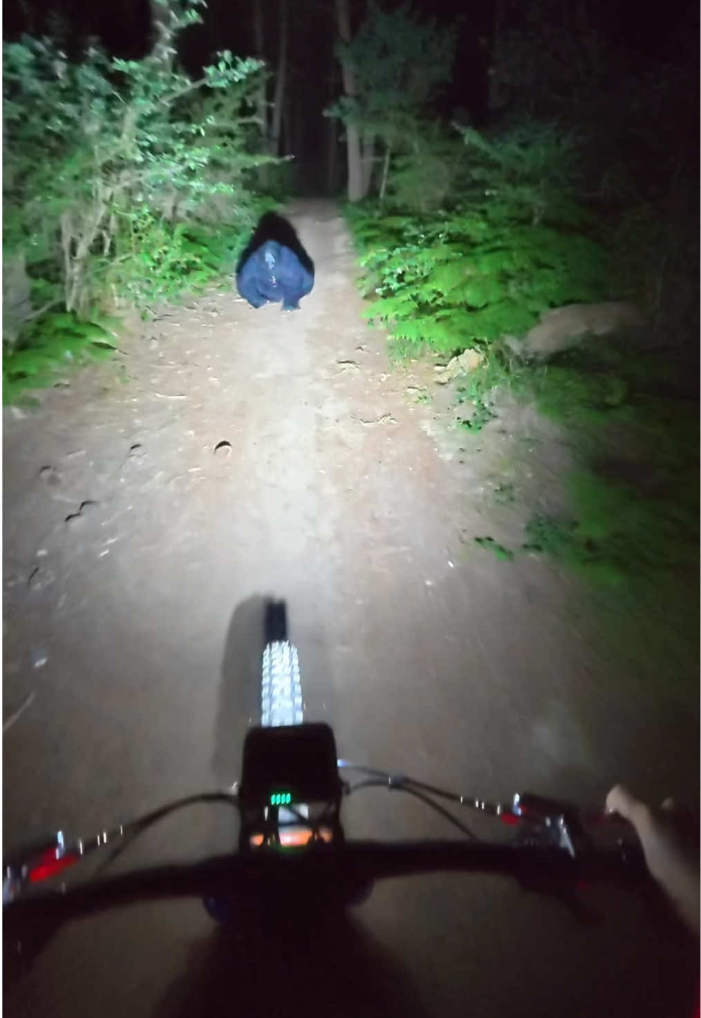 @Yalnız Pedalş&ouml;r