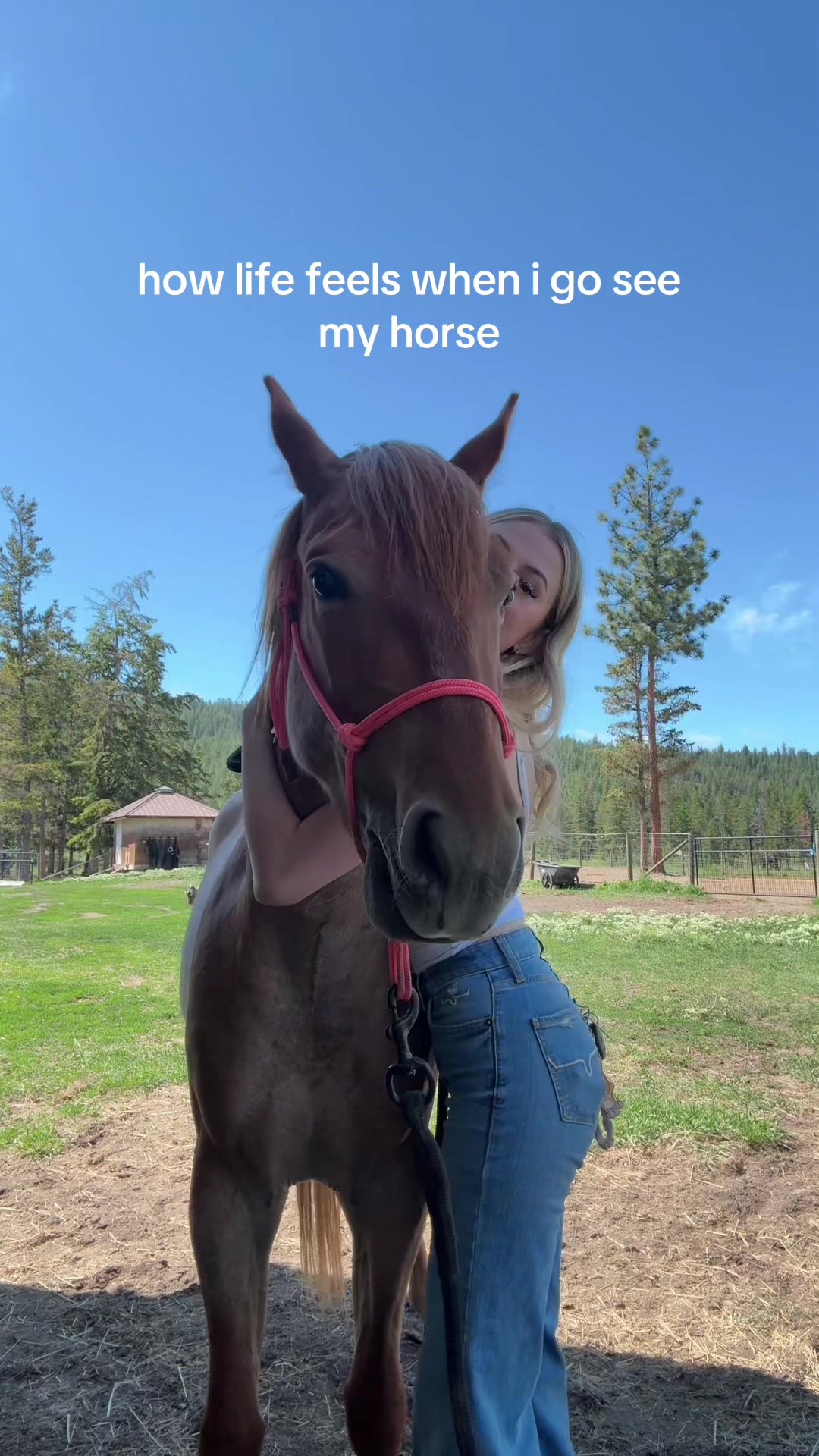 @luna <3