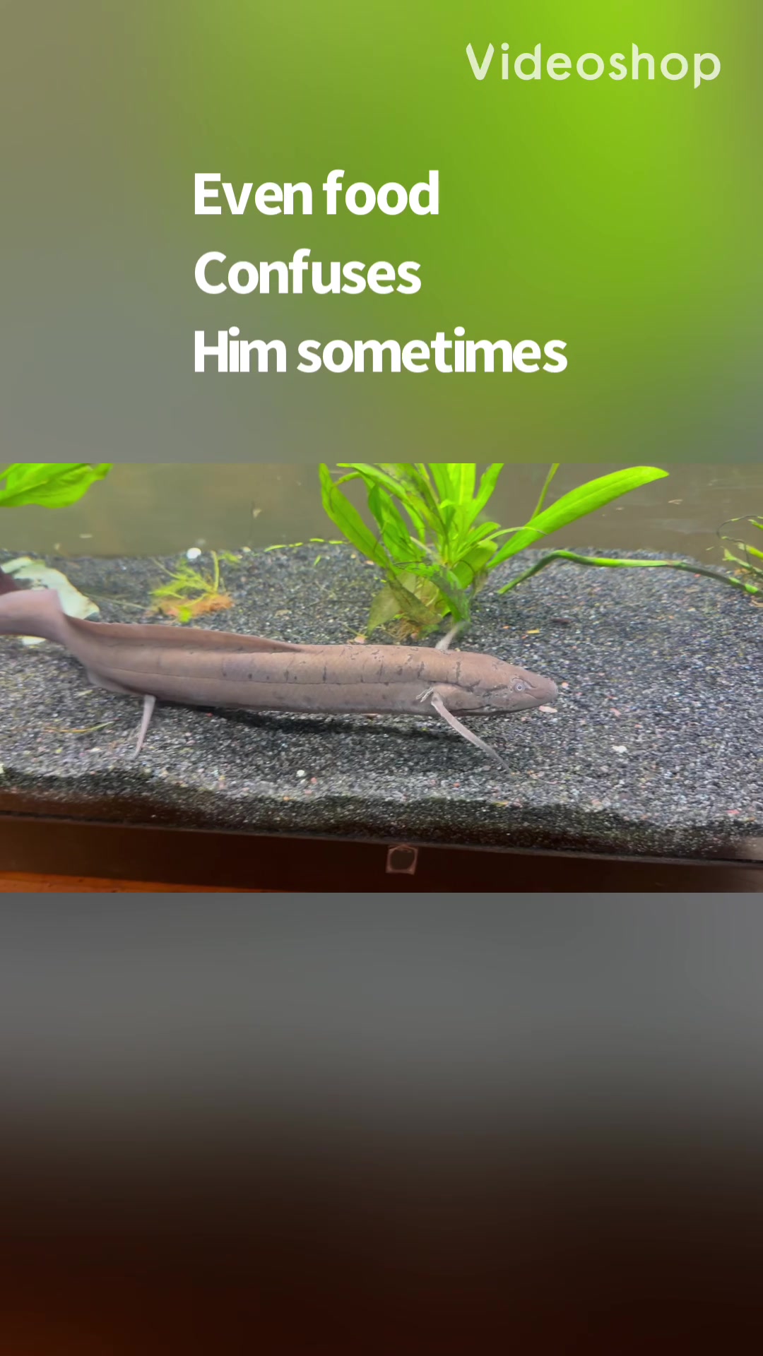 @fishdaddy2002