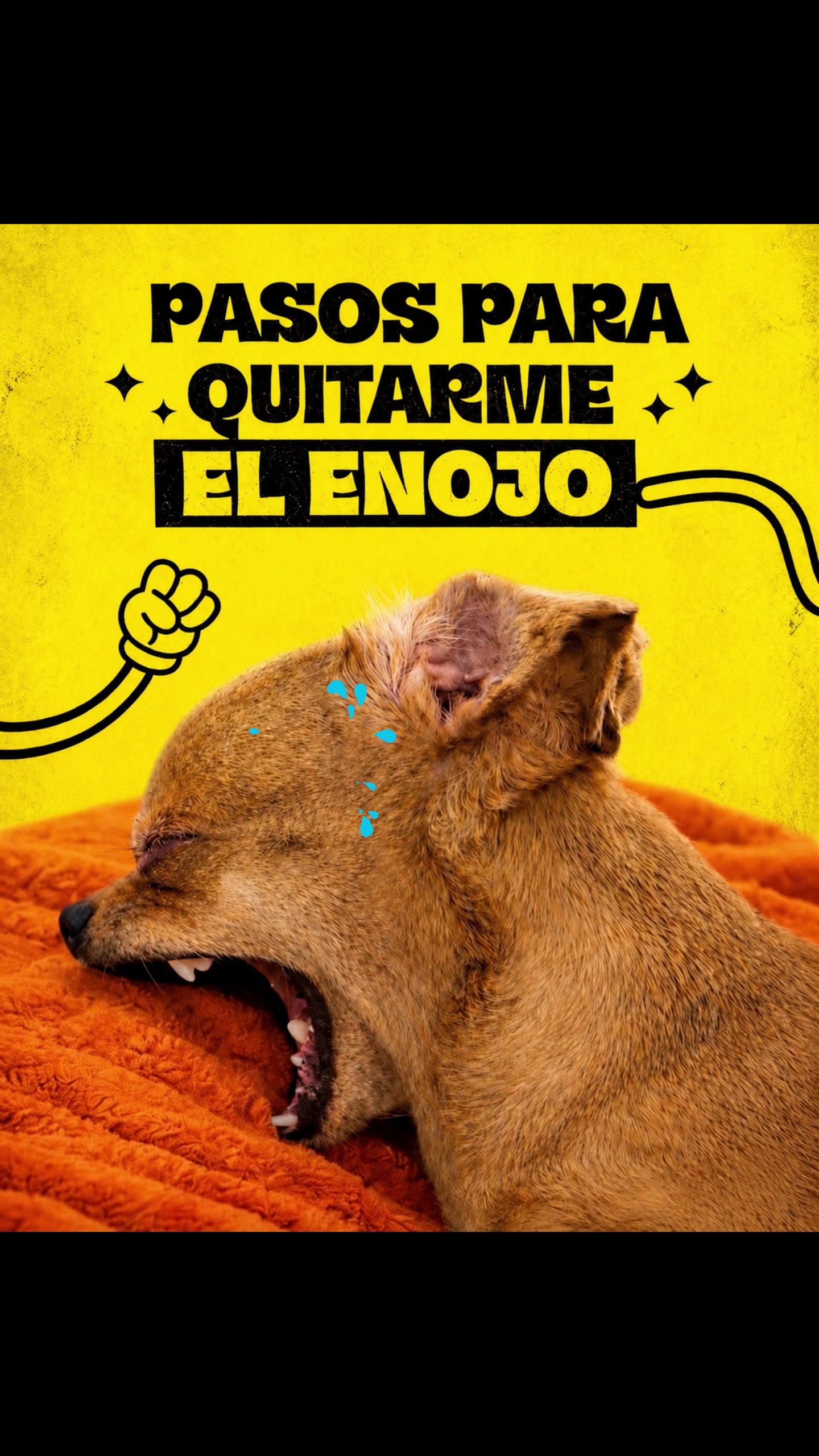@Burguéses de Barrio