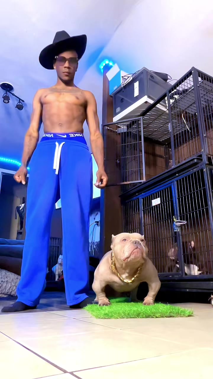 @Dog.gang.shop
