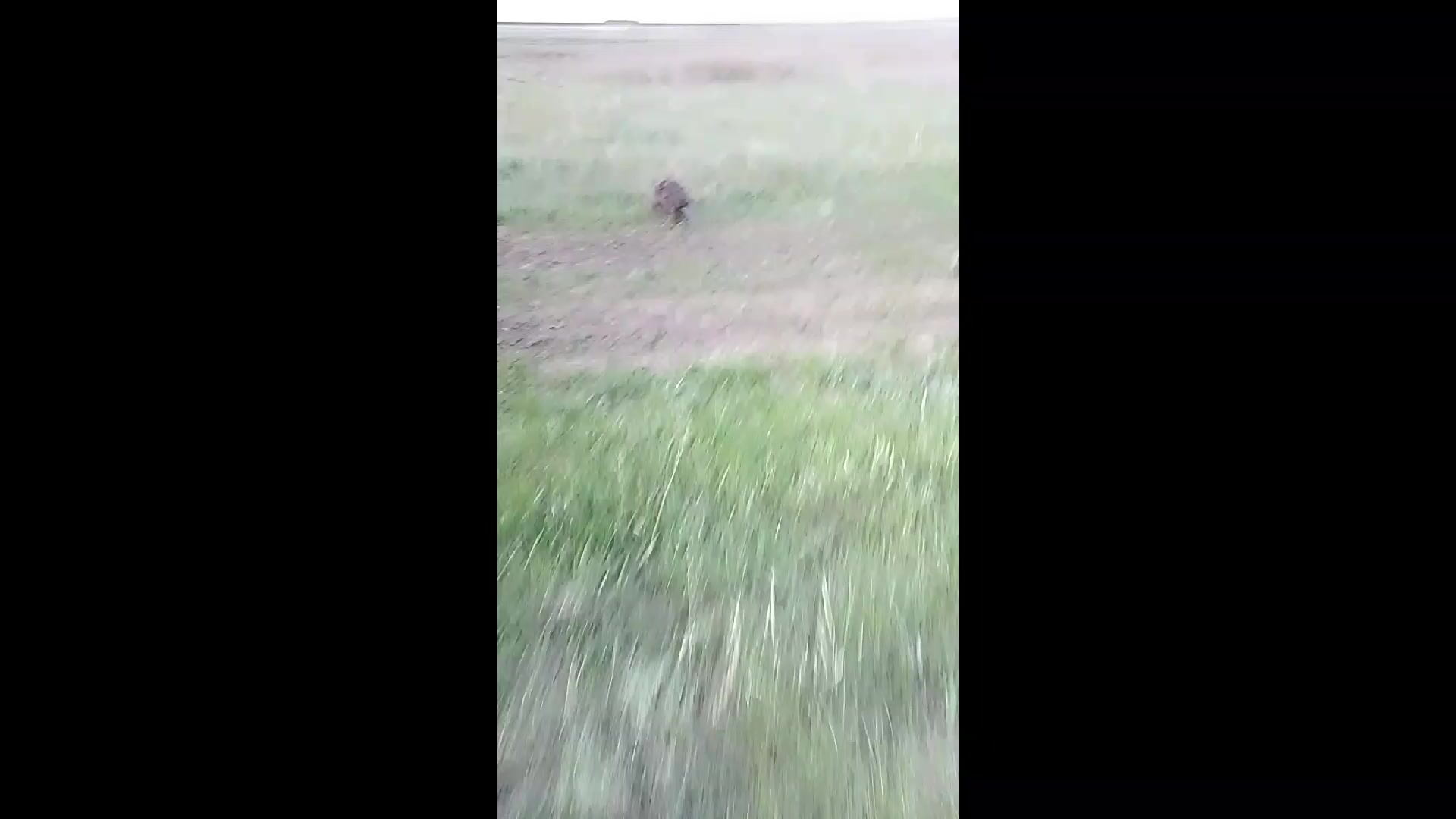 @Nikolai 64