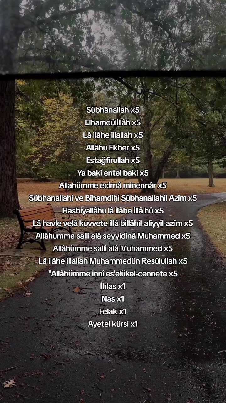 @﷽Mümin🇵🇸
