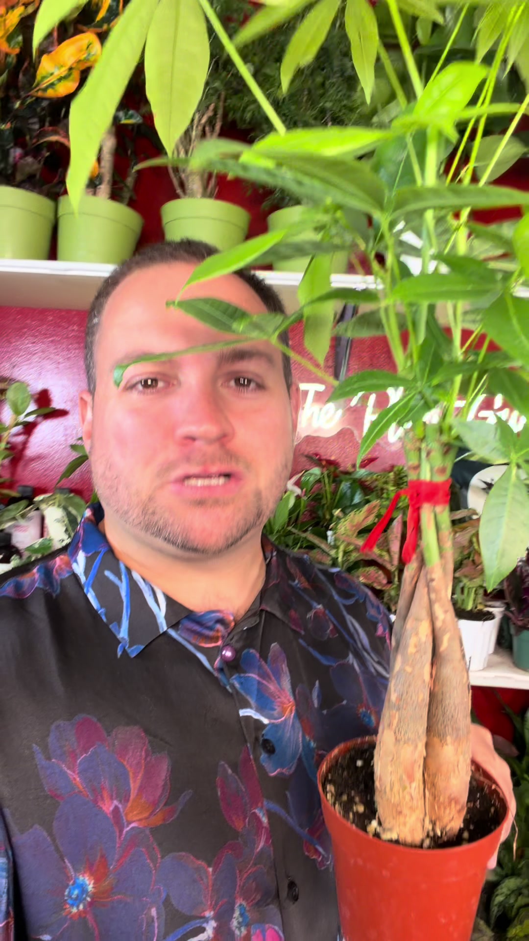 @Brandon The Plant Guy