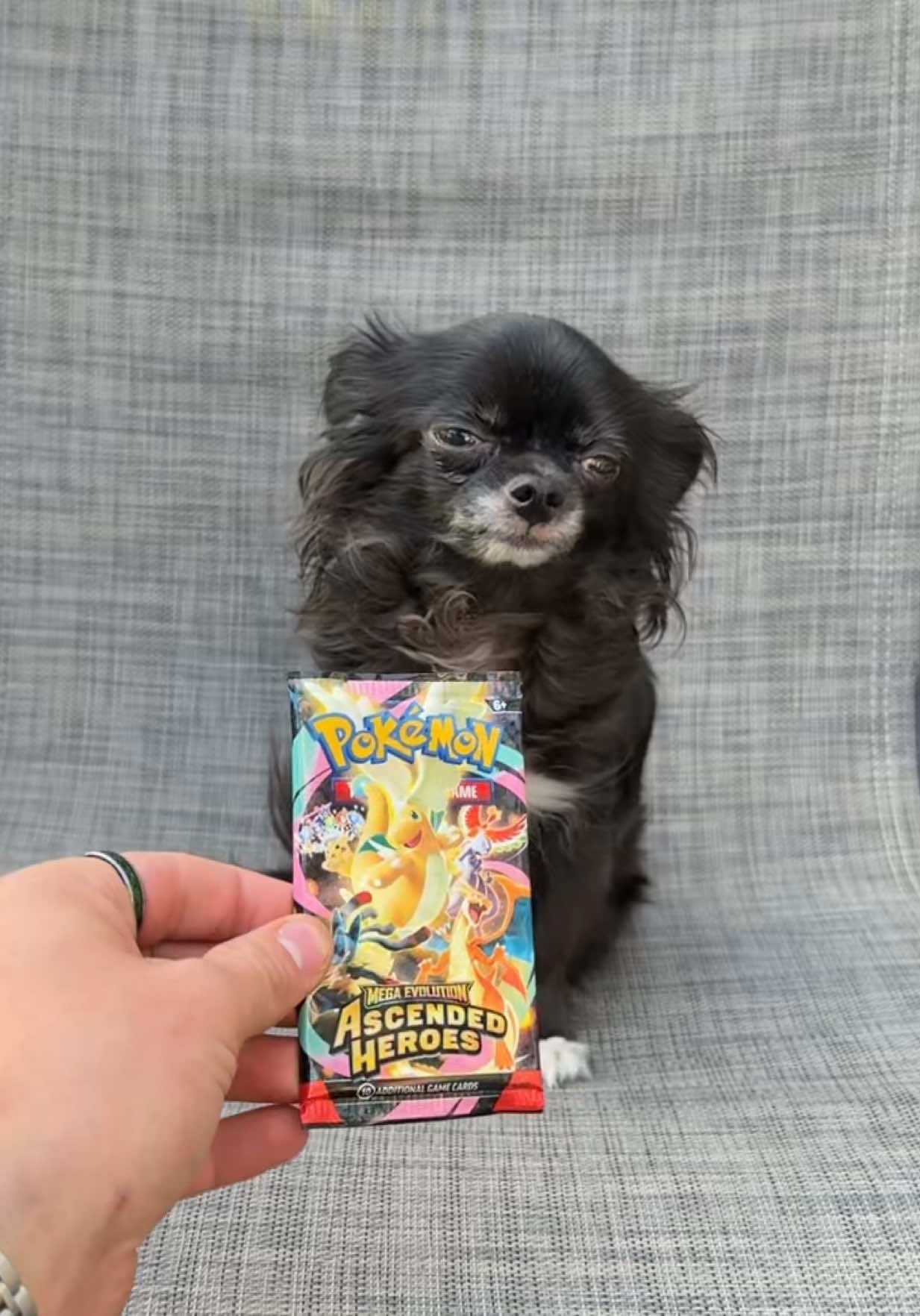 @JoshPuddinAndDozer