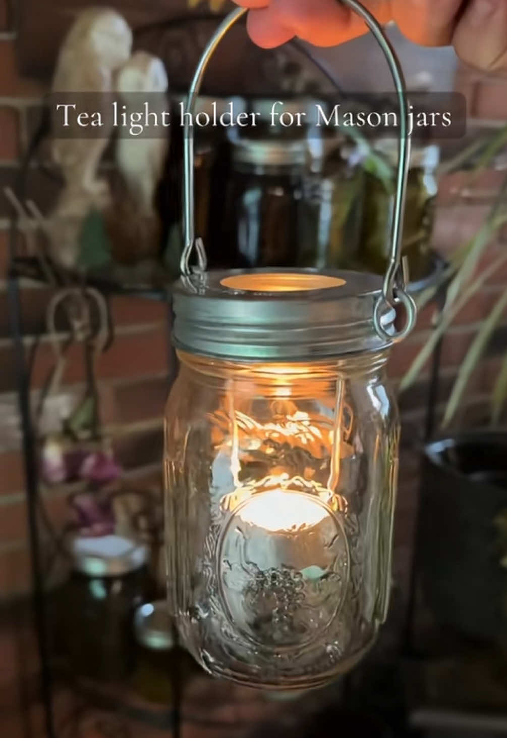 @homesteading herbalist