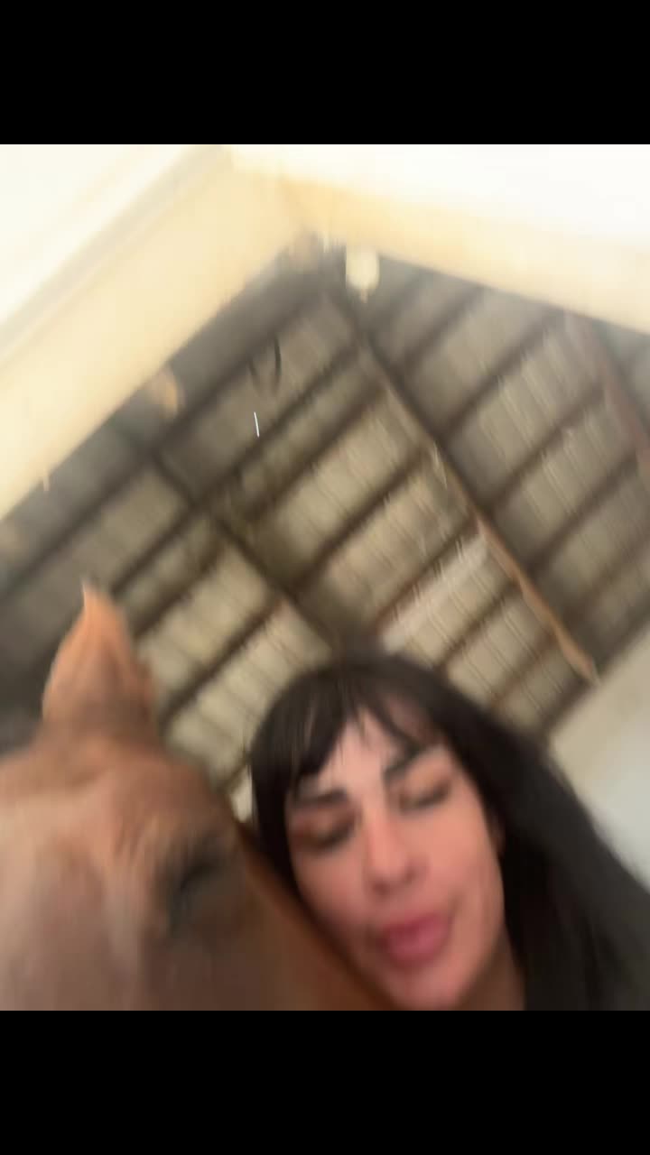 @inkandhon3y