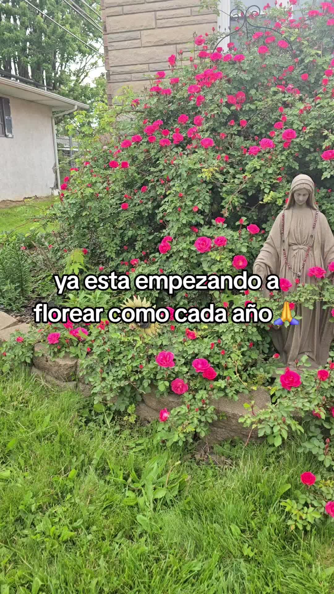 @Juanita Solis