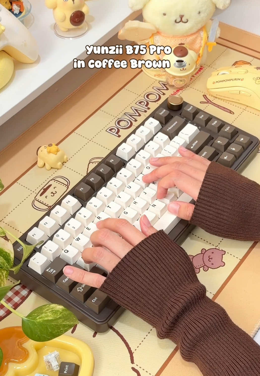 @pompomgurl ૮₍ ´ ꒳ `₎ა