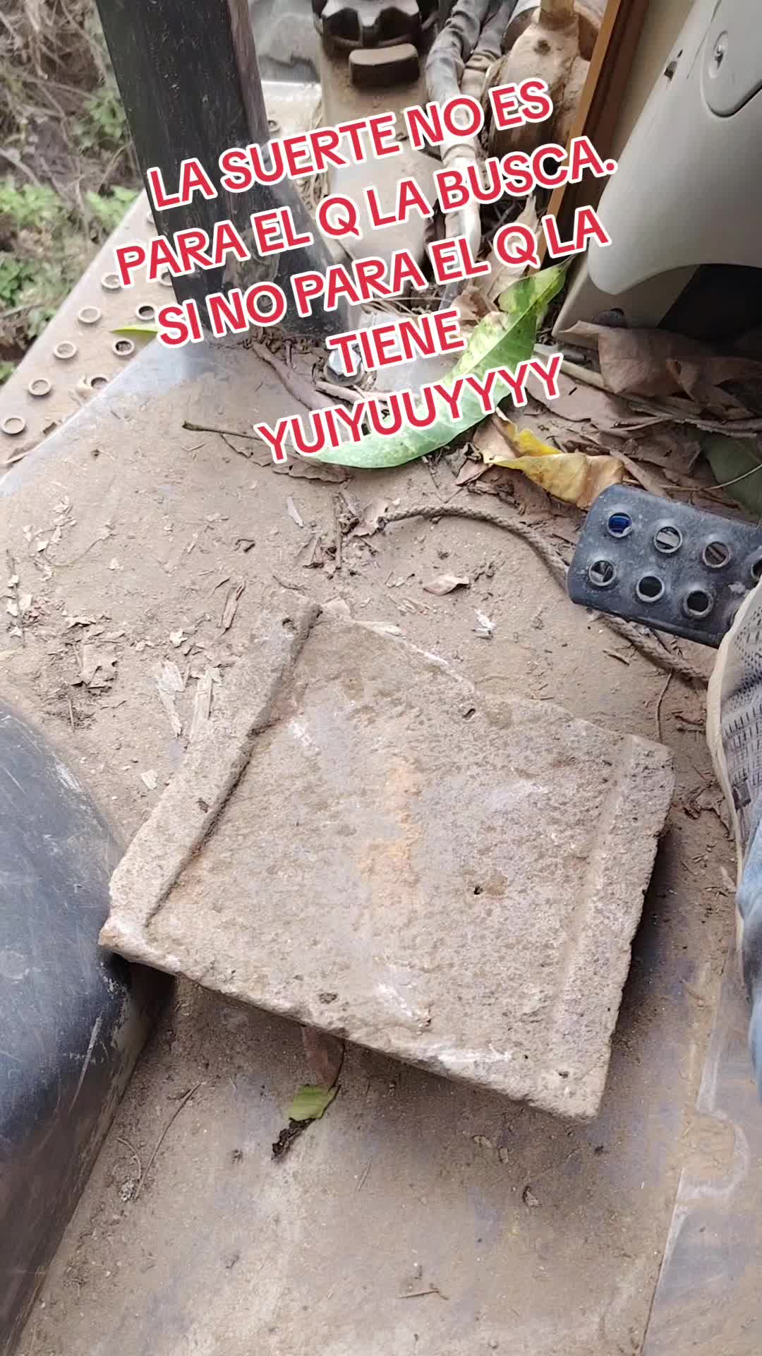 @Mex