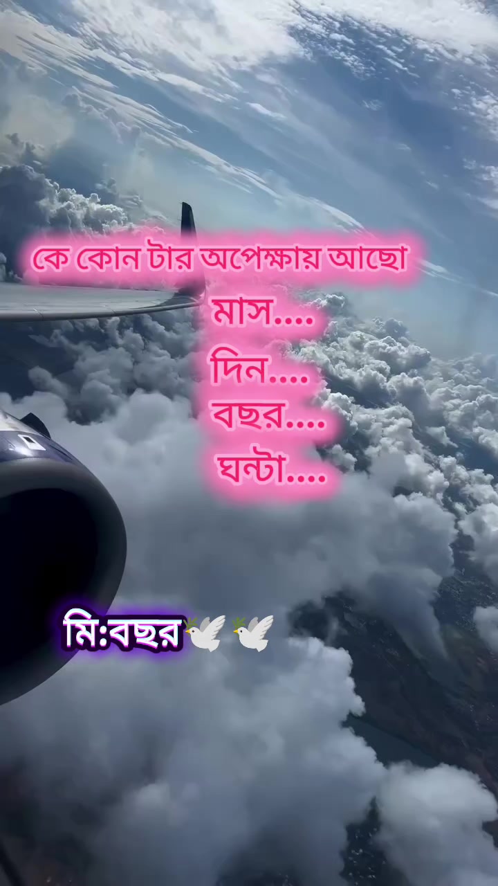 @══꙳̶p̶r̶o̶b̶a̶s̶i̶r̶ ̶b̶o̶w̶꙳̶