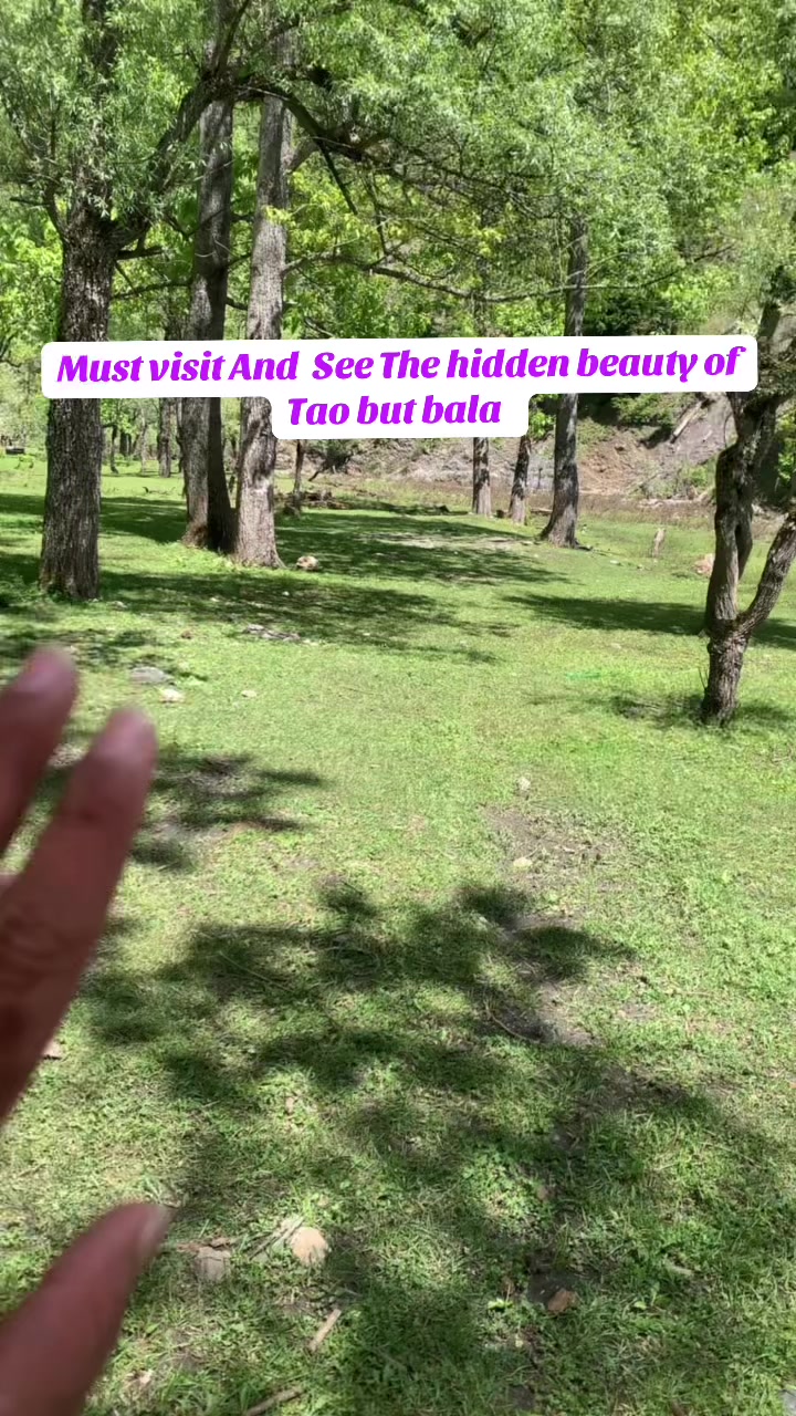 @Kashmir Diary 🍁
