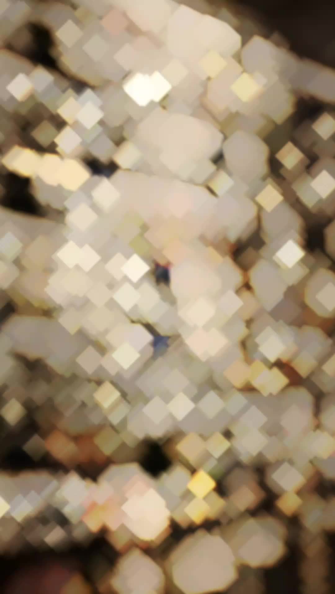 @🪄𝐉𝒊ᗰ𝒊𝛋Ҝ𝒊 しꪮꪜ𝘦ʳ_𝗘ꜰ𝐗🎱