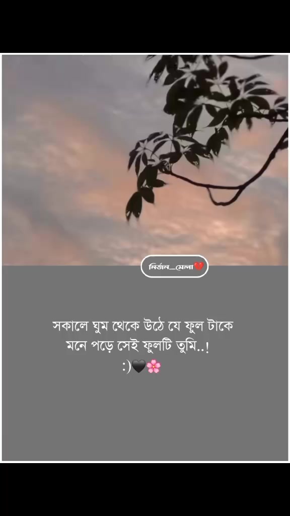 @jahed hasan 🌸