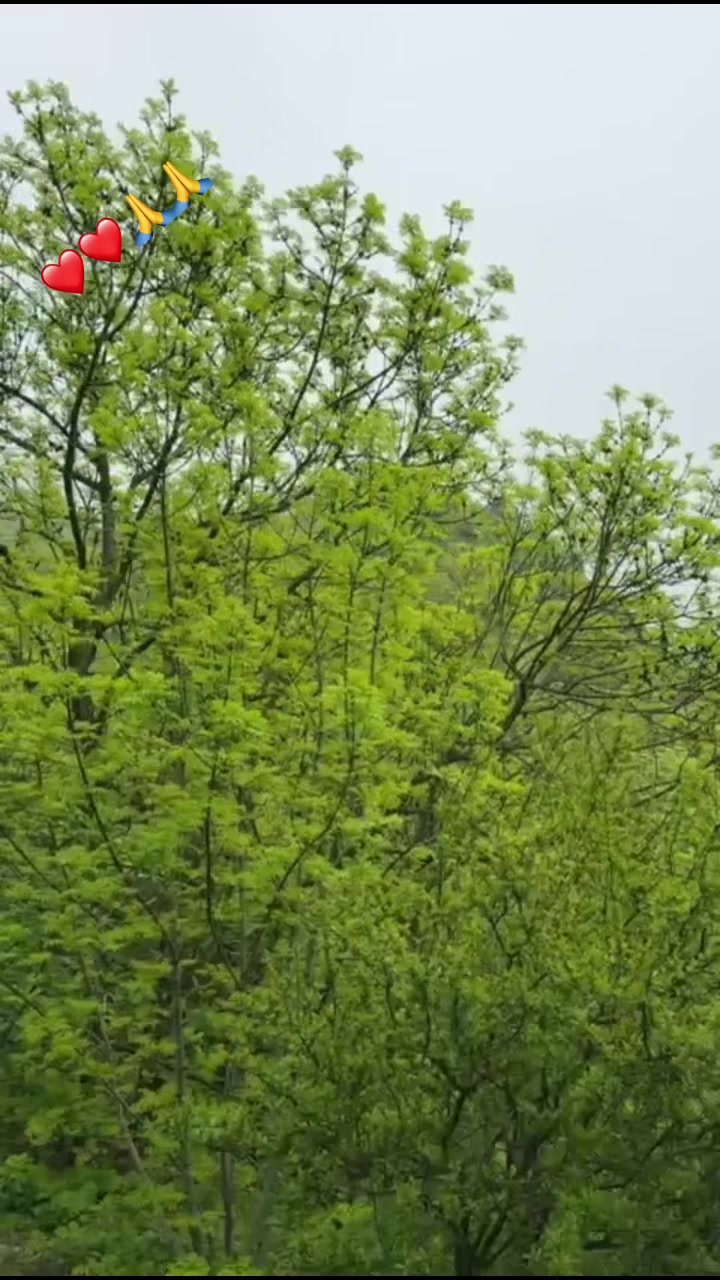 @ek333